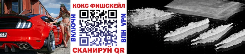 COCAIN Fish Scale  Купить  Ардон 