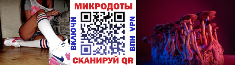 Галлюциногенные грибы Psilocybine cubensis  Купить  Ардон 